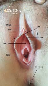 PMV Haven | Fraud Works Game PMV