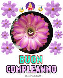 Stai cercando ispirazione per buon compleanno gif animate fiori 2021? Bellissimo Fiore Rosa Compleanno Gif