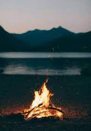 Rose Your Highness Would You Like To Join Me For A Night On The Beach Outdoors Adventure The Great Outdoors Happy Places