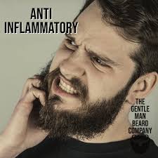 The Gentle Man Beard Company