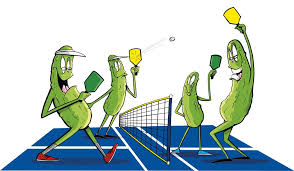 Image result for pickleball pictures