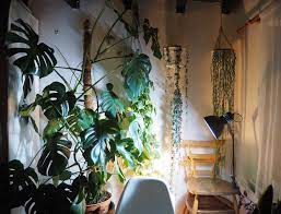 Join ikea family for even bigger savings on affordable furniture and home furnishings, a free hot coffee or tea when you visit and many more benefits. Grow Lights For Happy Houseplants Houseplanthouse
