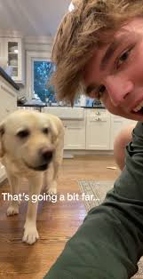 Drew Riesenberger (@drew.berger)