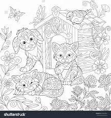Halloween Cat Coloring Pages From The Thousands Of Pictures On The Web With Regards To Halloween Ca Dog Coloring Page Animal Coloring Books Cat Coloring Page