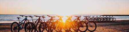 Before discussing the best mountain bike brands, you need to believe that cycling is never all about moving around on a flat ground with your bicycle. The Best Trail Bike Of 2020 15 Mountain Bikes In Review Enduro Mountainbike Magazine