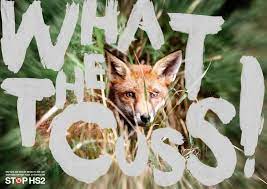 25 Grassroots Marketing Examples Grassroots Marketing Guerilla Marketing Fox