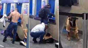 Check spelling or type a new query. Homem Tira A Camiseta No Metro E Veste Cachorro Que Passava Frio Prisma R7 Procura Se Cachorro