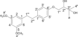 Image result for Globimetula