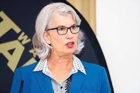 Kāinga Ora turmoil: Mayor wants answers after controversial Hamilton  housing development paused, All things property, under OneRoof