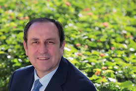 tutambienpuedessereinstein (320p).indd