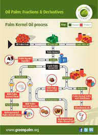 Palm oil processors should therefore adopt good management strategies and practices in order to ensure efficient utilization of existing and available resources. Palm Oil Palm Kernel Oil Process Fractions Derivatives And Produc