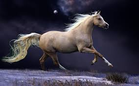 Running Horse Atlar Hayvanlar Ve Tablolar