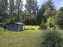 Der Blick In Den Weiten Garten Bis Zum Wald In 2020 Ferienhaus Mieten Style At Home Bungalow