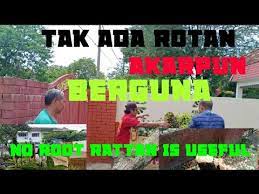 Arti 'tiada rotan akar pun berguna jadi' di kamus besar bahasa indonesia (kbbi). Berguna Penting Tak Ada Rotan Akar Pun Berguna No Root Rattan Is Useful Bagus Di 2021 Rabab Minangkabau