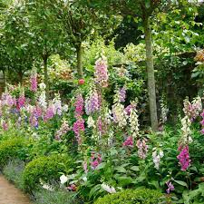 Jobs Im Garten Im Mai Zu Erledigen Erledigen Garten May Garden Cottage Garden Beautiful Flowers Garden