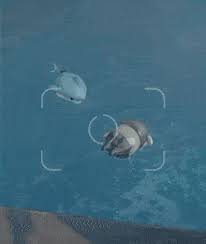 Image result for tbn:Ol5lxjC3piXICM::mamiebabou.m.a.pic.centerblog.net/vabzkebu.gif