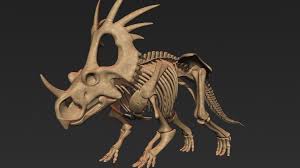 Styracosaurus Triceratops Skeleton Max Styracosaurus Dinosaur Skeleton Dinosaur Art