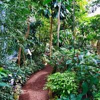 See more of botanischer garten der universität ulm on facebook. Botanischer Garten Garden In Ulm