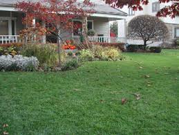 Natural Organic Lawn Care Ohioline