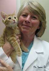 Dr. Janine Siebert (Greater Lafayette Cat Hospital)