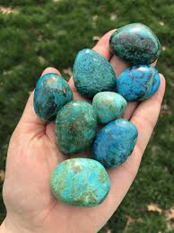 Image result for Chrysochloa