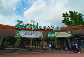 We did not find results for: Zoo Negara Kembali Alami Krisis Kewangan Tabung Kecemasan Bertahan Tiga Bulan Astro Awani