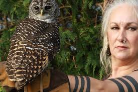 Sixth Sun Dreaming — Time of the Sixth Sun