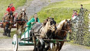Jurley corona desnuda Registrada en Registro Único