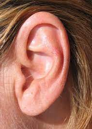 Healthfully Ear Wax Removal Ear Wax Buildup Ear Infection Remedy