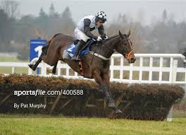 Are not his days those of hirelings? Sportsfile Horse Racing From Leopardstown Sunday 7th Feb 400588