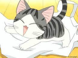 Pin By Ana Valeria Negrette Vielma On Cat Cute Cute Anime Cat Anime Cat Chi S Sweet Home