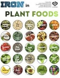 Top 25 Plant Based Vegan Iron Sources Foods With Iron Health Food Nutrition