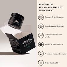 Image result for Shilajit