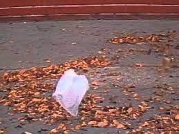 Why should i, who have no need to work for food, spin? American Beauty Thomas Newman From The Plastic Bag Scene Youtube