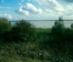Oostvaardersplassen ist ein naturentwicklungsgebiet am nordöstlichen rand der provinz flevoland zwischen lelystad und almere, unweit von amsterdam in den niederlanden. Wie Beheert De Oostvaardersplassen Flevolands Geheugen