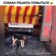 Молодые решила помыться watch online