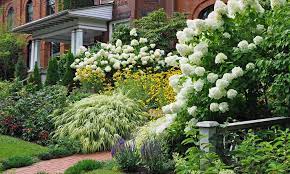 Doch heute sind gartenhortensien, die auch als bauernhortensien bekannt sind, wieder überall beliebt! Hortensien Pflegen 4 Tipps Zum Schneiden Giessen Dungen Farben