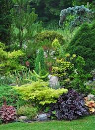 Virtually Few Perennials Massive Interest With Diversity Of Colored Foliage And Varying Leaf Shapes Conifers Garden Evergreen Garden Beautiful Gardens