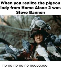 Brenda fricker home alone 2: When You Realize The Pigeon Lady From Home Alone 2 Was Steve Bannon Funnyodie No No No No No Nooooooo Being Alone Meme On Me Me