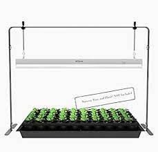 Original performance · in house support staff · original lighting Amazon Com Igrowtek 2 Feet Led Grow Light Stand Rack For Seedling Plant Growing With Natural White Light Full Grow Light Stand Grow Lights Led Grow Lights