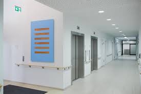 Im landkreis sind die tiere in kurzer zeit und an mehreren stellen aufgetaucht. Fabian Gatermann Kbo Isar Amper Klinikum Furstenfeldbruck Artist