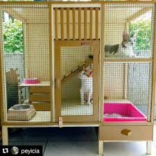 Membuat rumah kucing yang besar membutuhkan waktu sekitar dua hingga tiga hari. Kandang Kucing Kayu Tingkat Shopee Indonesia