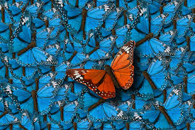 With mercyhealth mychart you can securely access portions of your mercyhealth medical records 24 hours a day from your computer, tablet or all mercy health providers offer online scheduling through mychart. Bon Secours Mercy Health Stronger Together