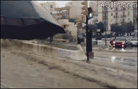 Gif links cannot contain sound. å‹•åœ– é¢±é¢¨å¤©è¨˜è€…æœƒé‡åˆ°çš„å±éšªç‹€æ³ éµç›¤å¤§æª¸æª¬ Ettodayæ–°èžé›²