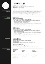 In writing your resume, include only the updated and relevant ones. Net Developer Resume Sample Kickresume