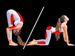 10 Basic Yoga Poses That Ll Change Your Body In 29 Days Youtube In 2020 Basic Yoga Poses Basic Yoga Yoga Poses