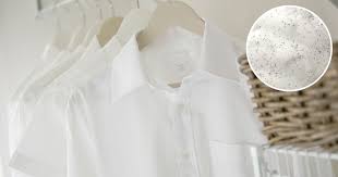 Untuk tahi lalat yang tidak ganas, keputusan untuk menghilangkan tahi lalat tergantung kepada keinginan beberapa cara menghilangkan tahi lalat berikut bisa dijadikan pilihan. Tip Mudah Nak Hilangkan Tahi Lalat Pada Pakaian Impiana