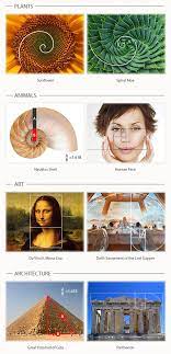 We did not find results for: How To Use The Golden Ratio In Design With Examples