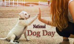 A dog will teach you, unconditional love. Happy National Dog Day 2021 Wishes Quotes Greeting Saying Image Pic The Star Info