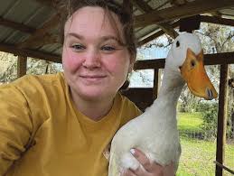 LaBelle farm makes room for rescues New high school planned for LaBelle